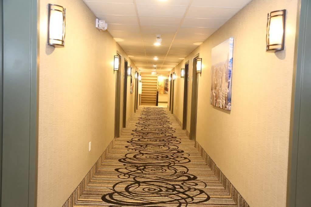 Red Carpet Inn Elmwood Elmwood Park Extérieur photo